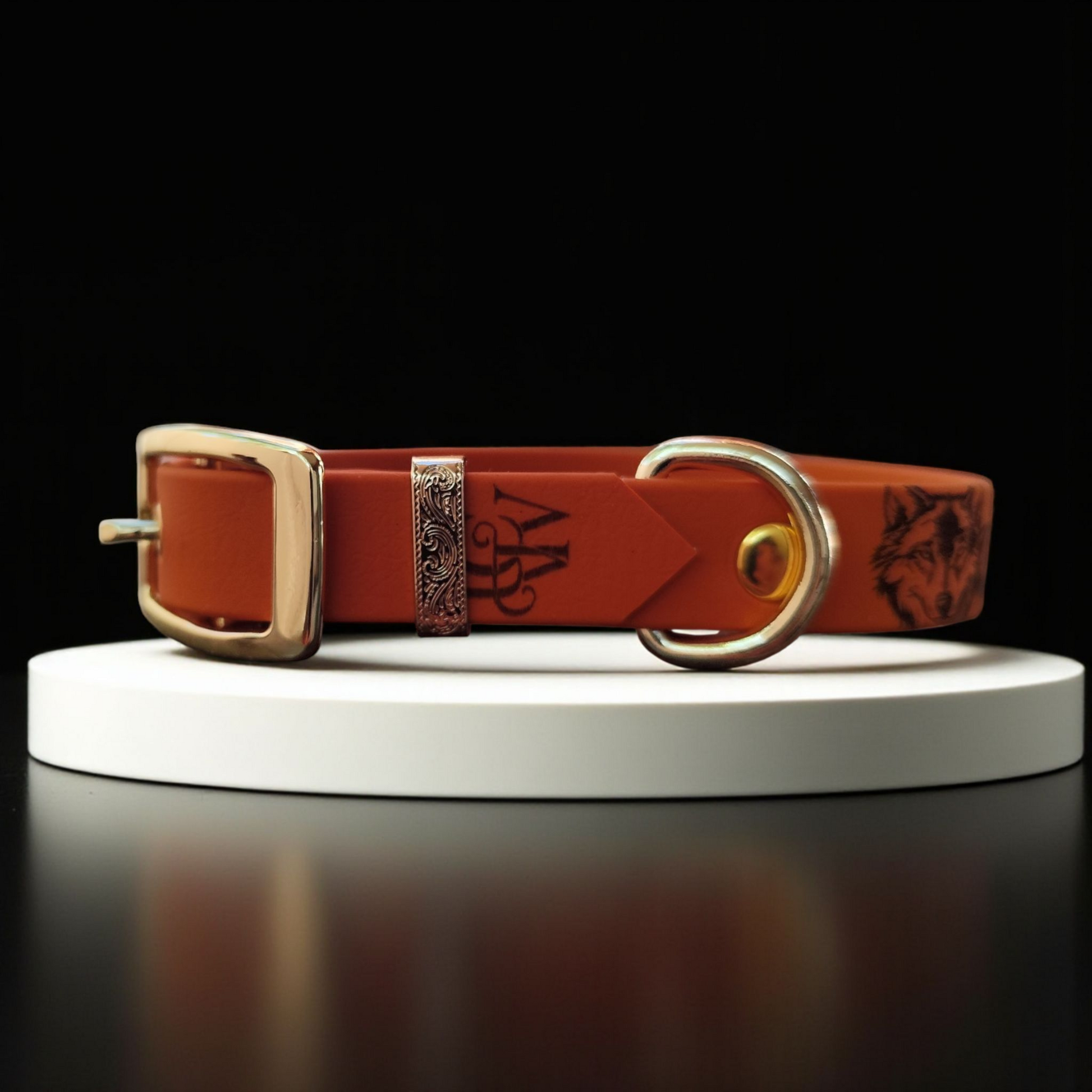 collier en biothane réglable 
