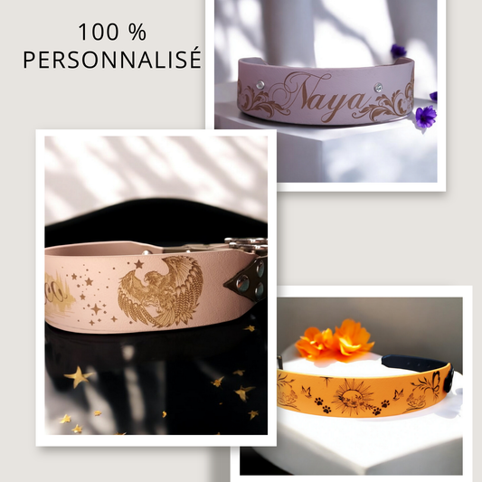 collier 100% personnalisable en biothane 