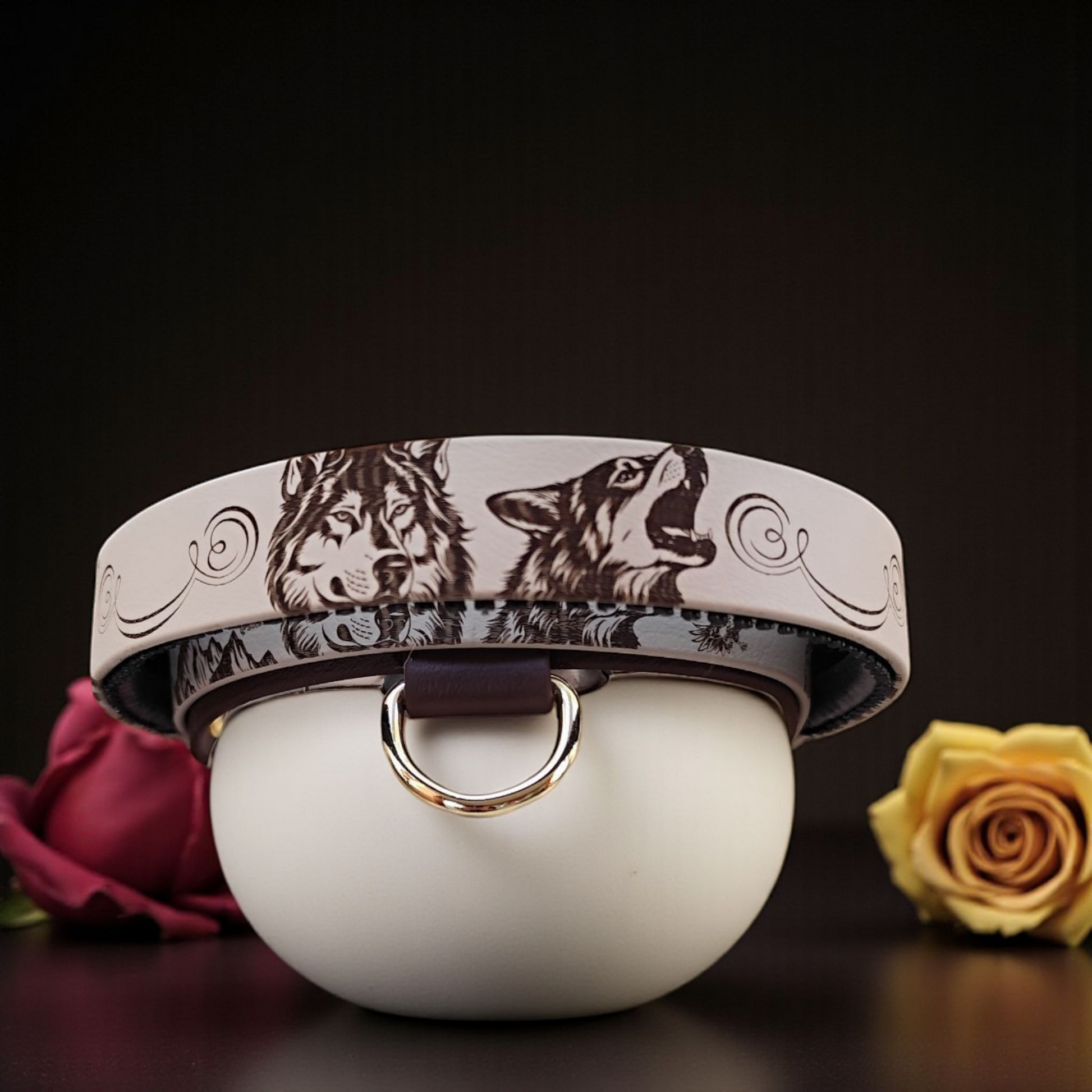 collier pour chien en biothane avec poignée intégrée 