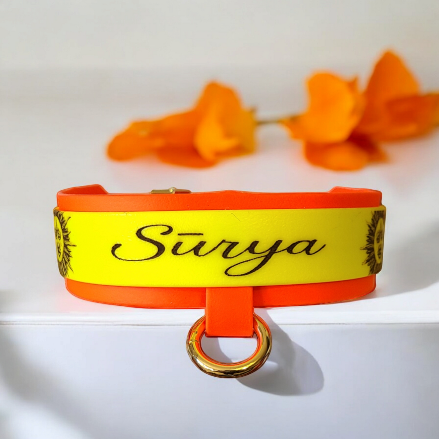 collier pour chien en biothane orange et jaune totalement personnalisé à la demande du client 