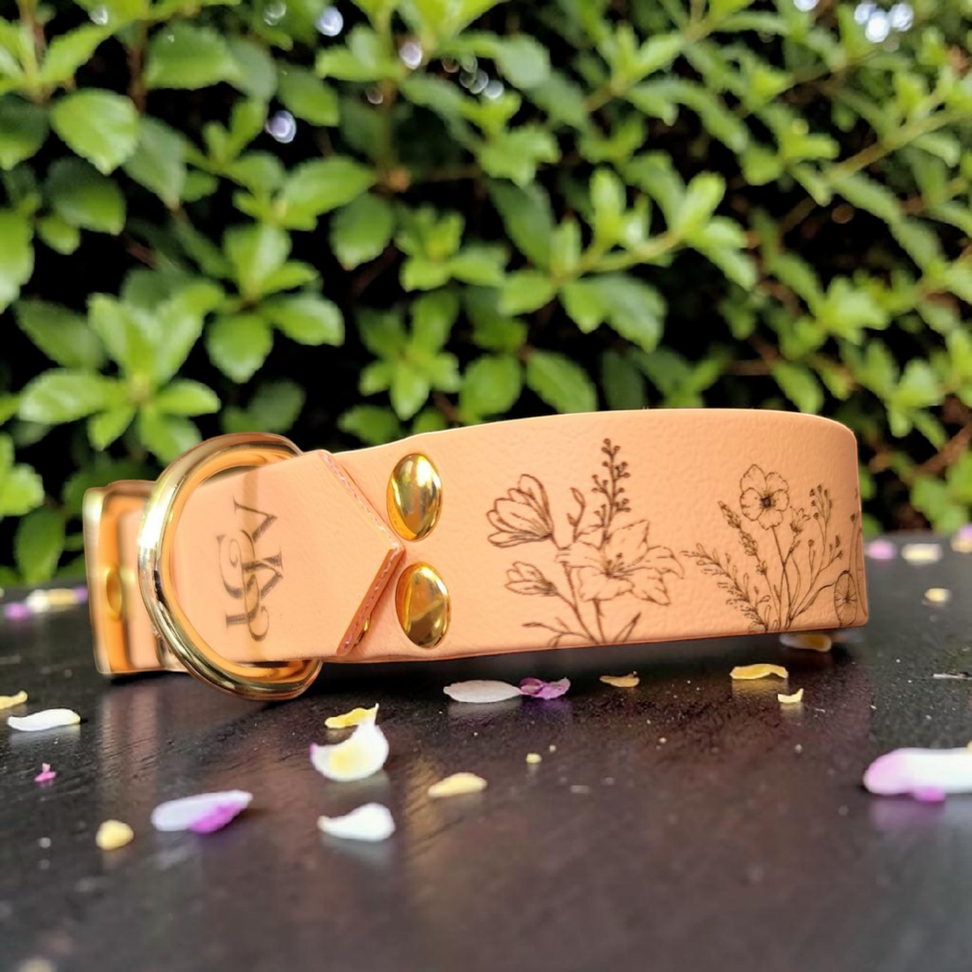 Vue de droite d’un collier pour chien en biothane personnalisé, accessoire robuste et waterproof avec finitions soignées et design élégant.