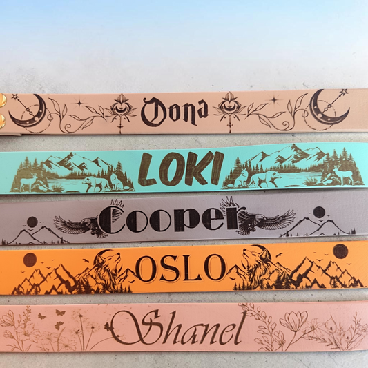 collier identitaire pour chien 