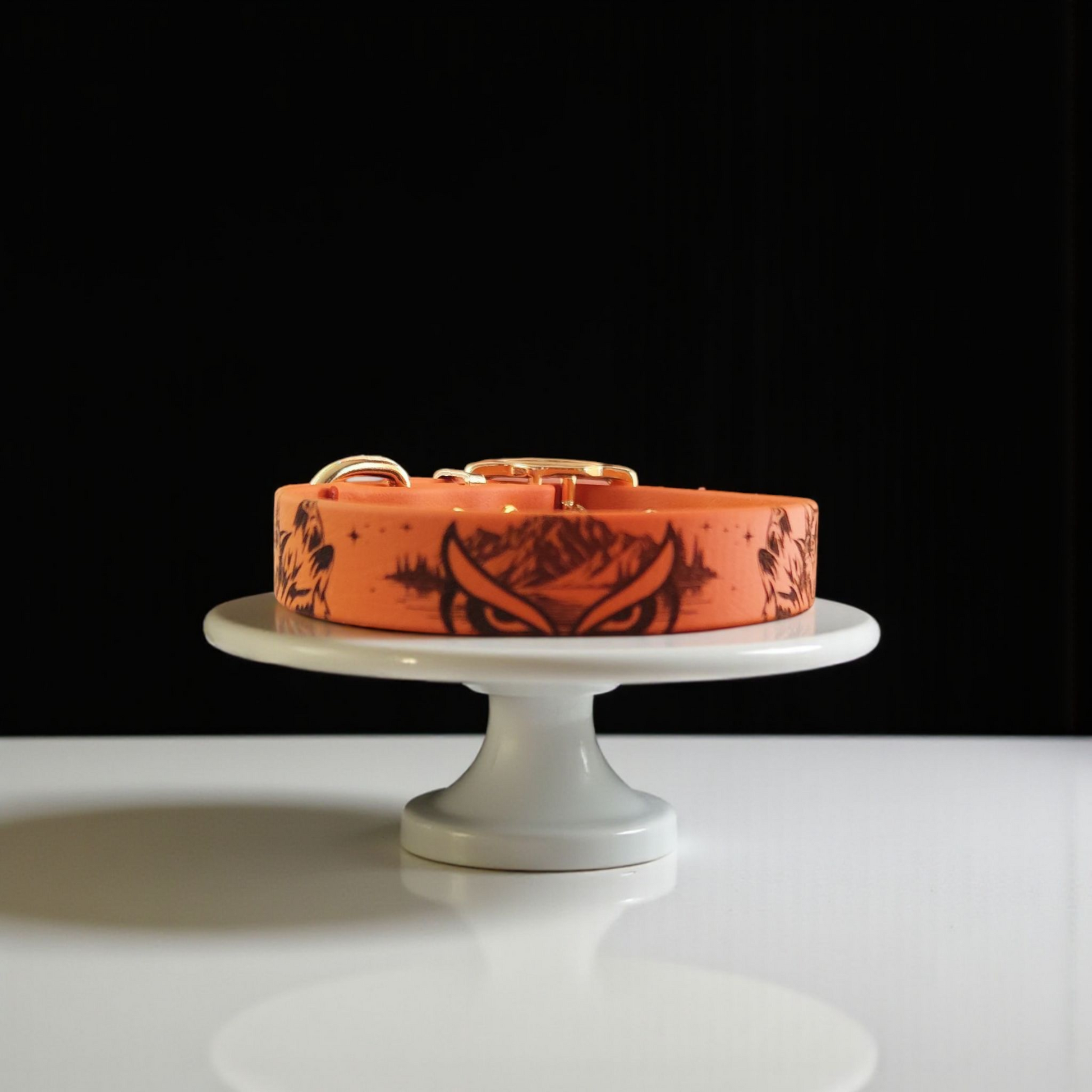 collier pour chien 16 mm biothane burnt orange 