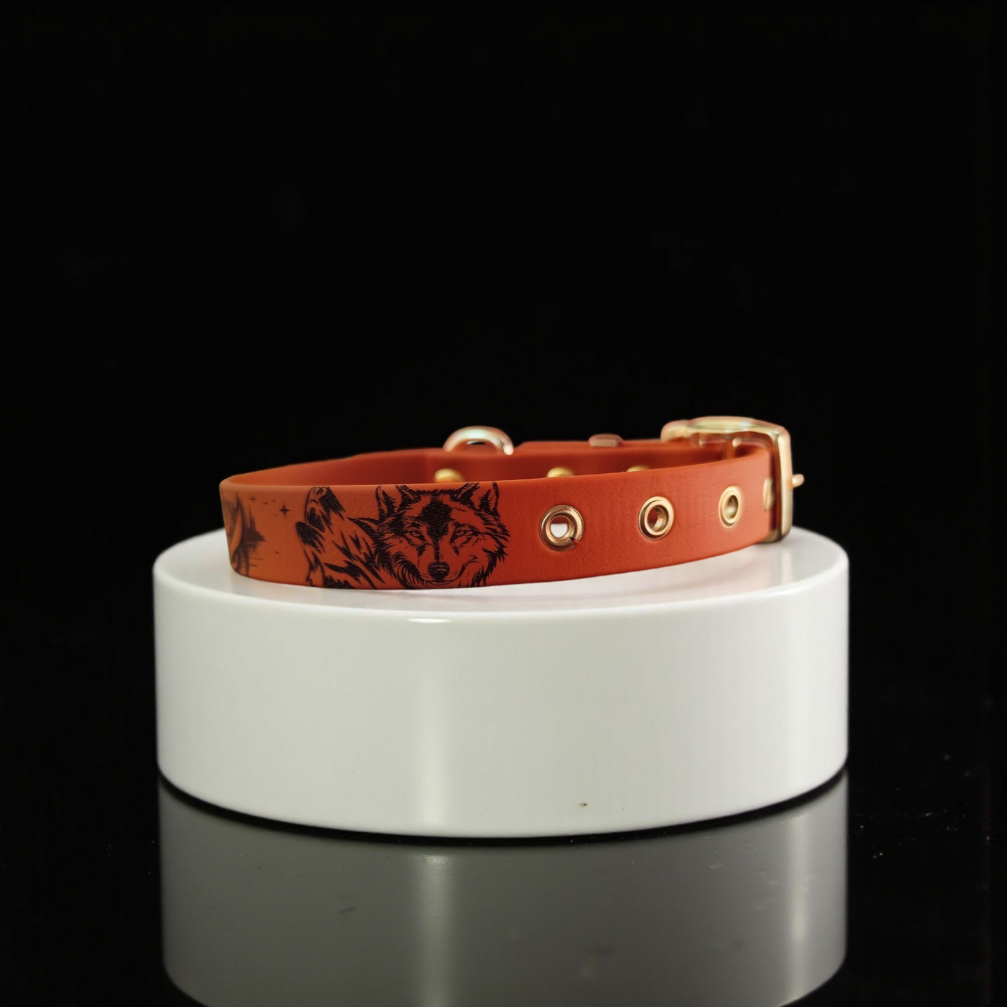 collier pour chien 16 mm coté droit
