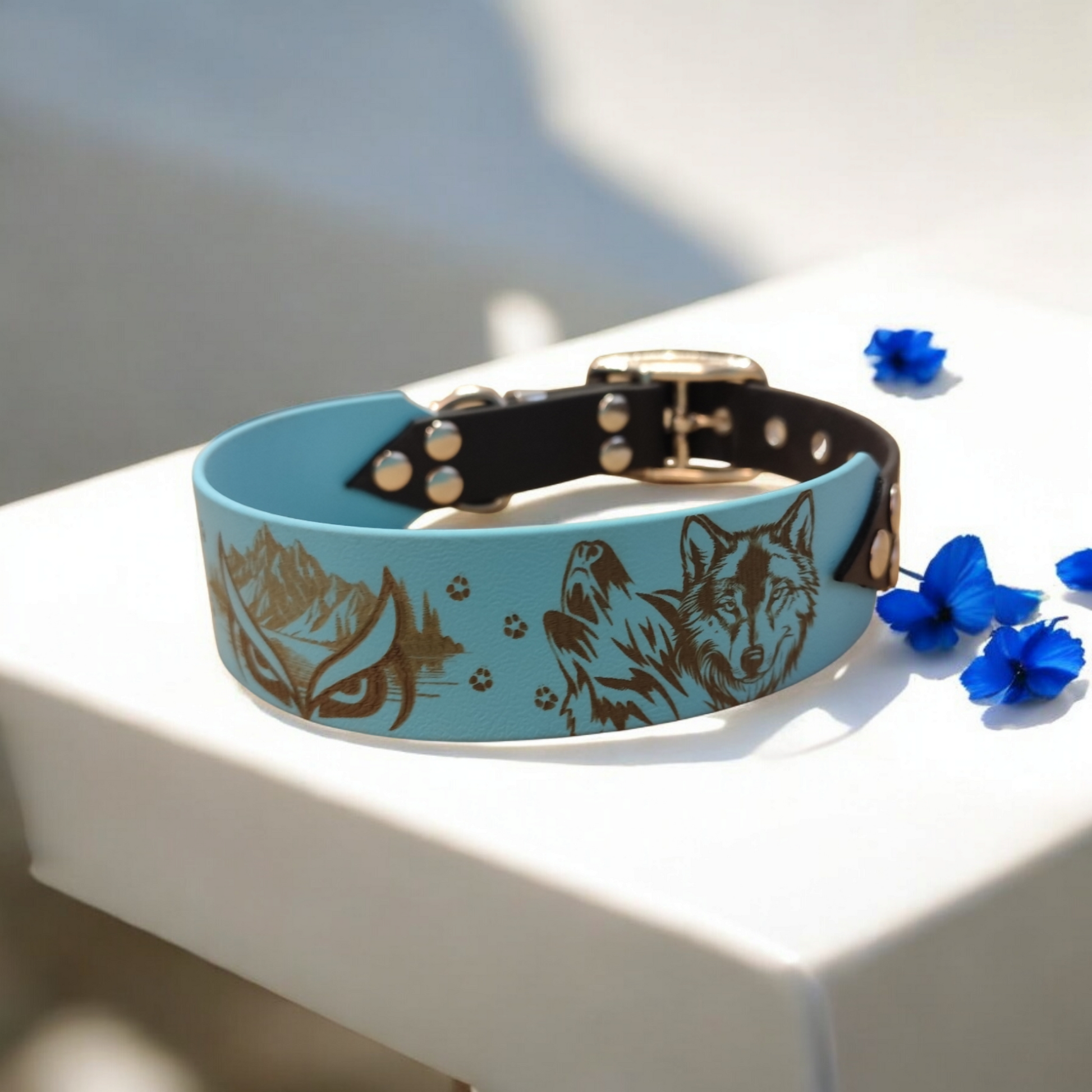 collier pour chien en 38 mm sangle 25 mm 