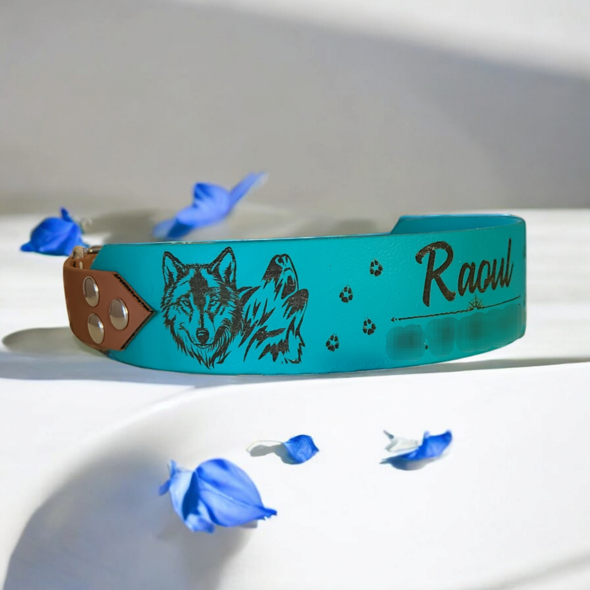 collier pour chien personnalisé coté gauche 