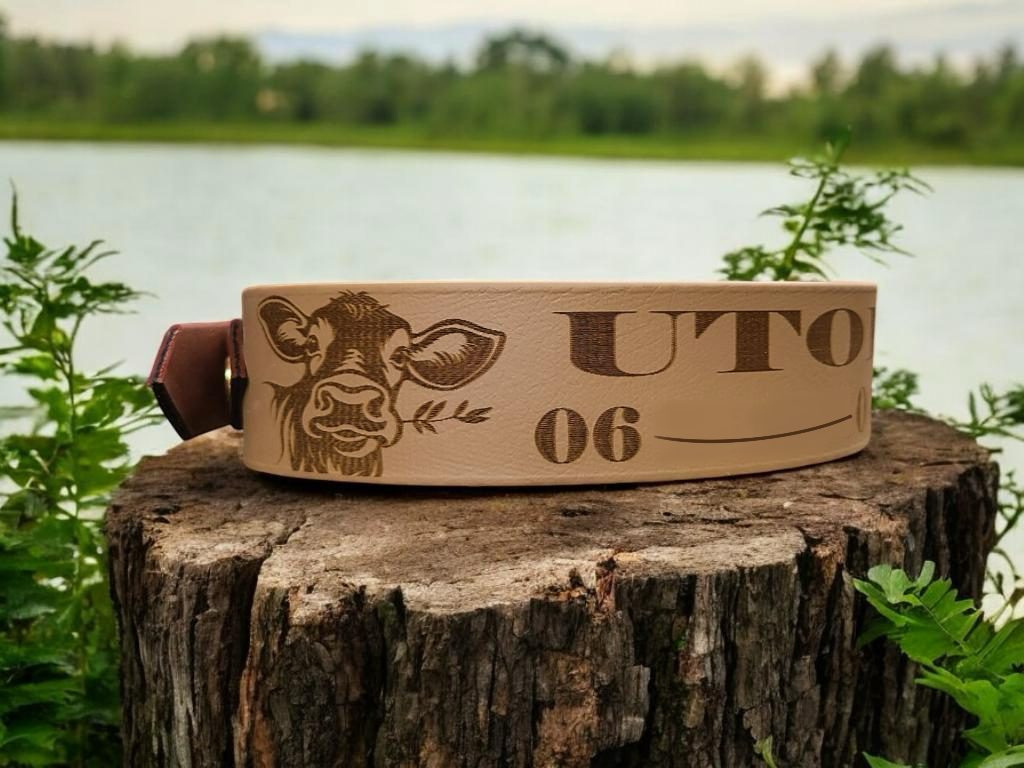 collier pour chien personnalisé en biothane beige 
