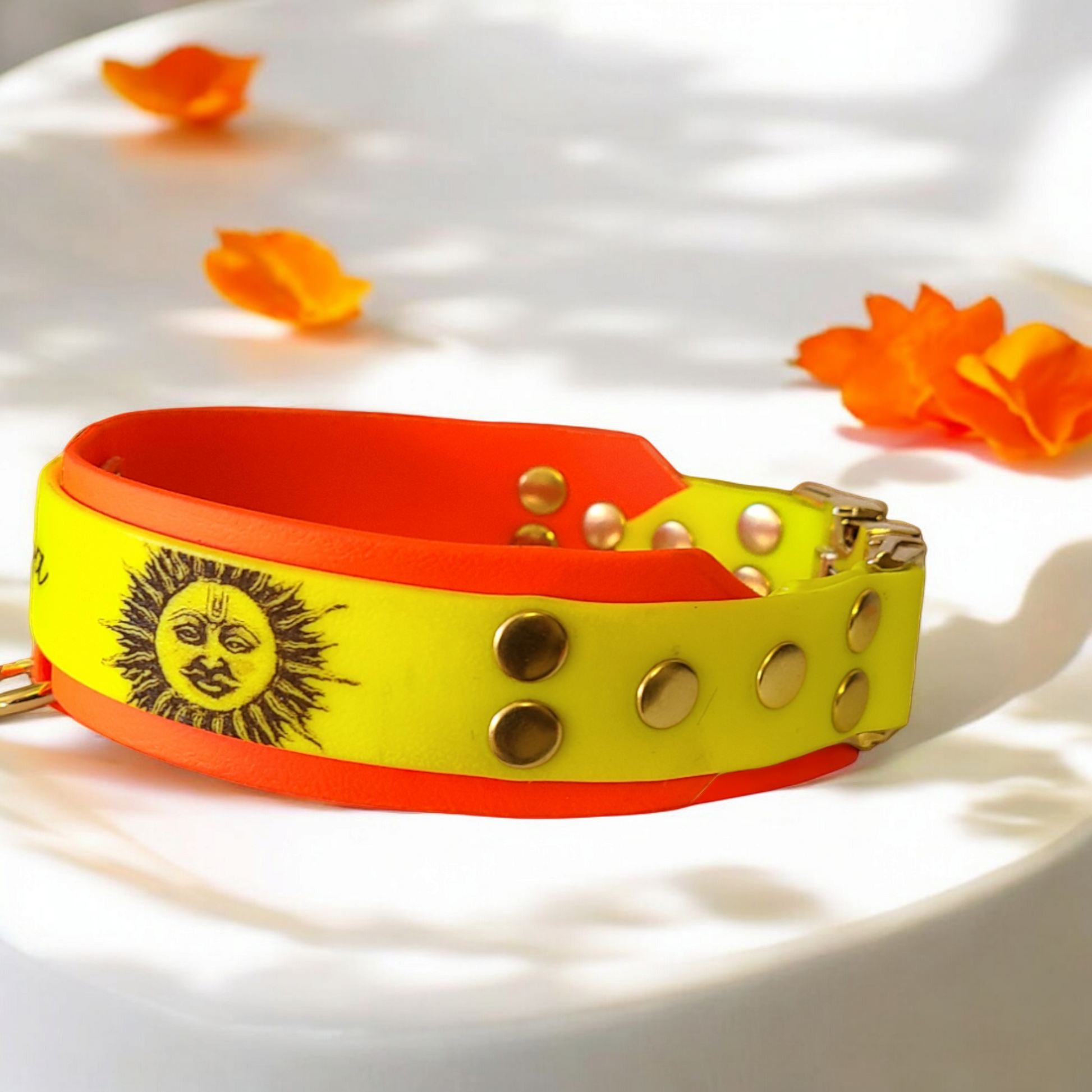 collier pour chien personnalisé soleil 