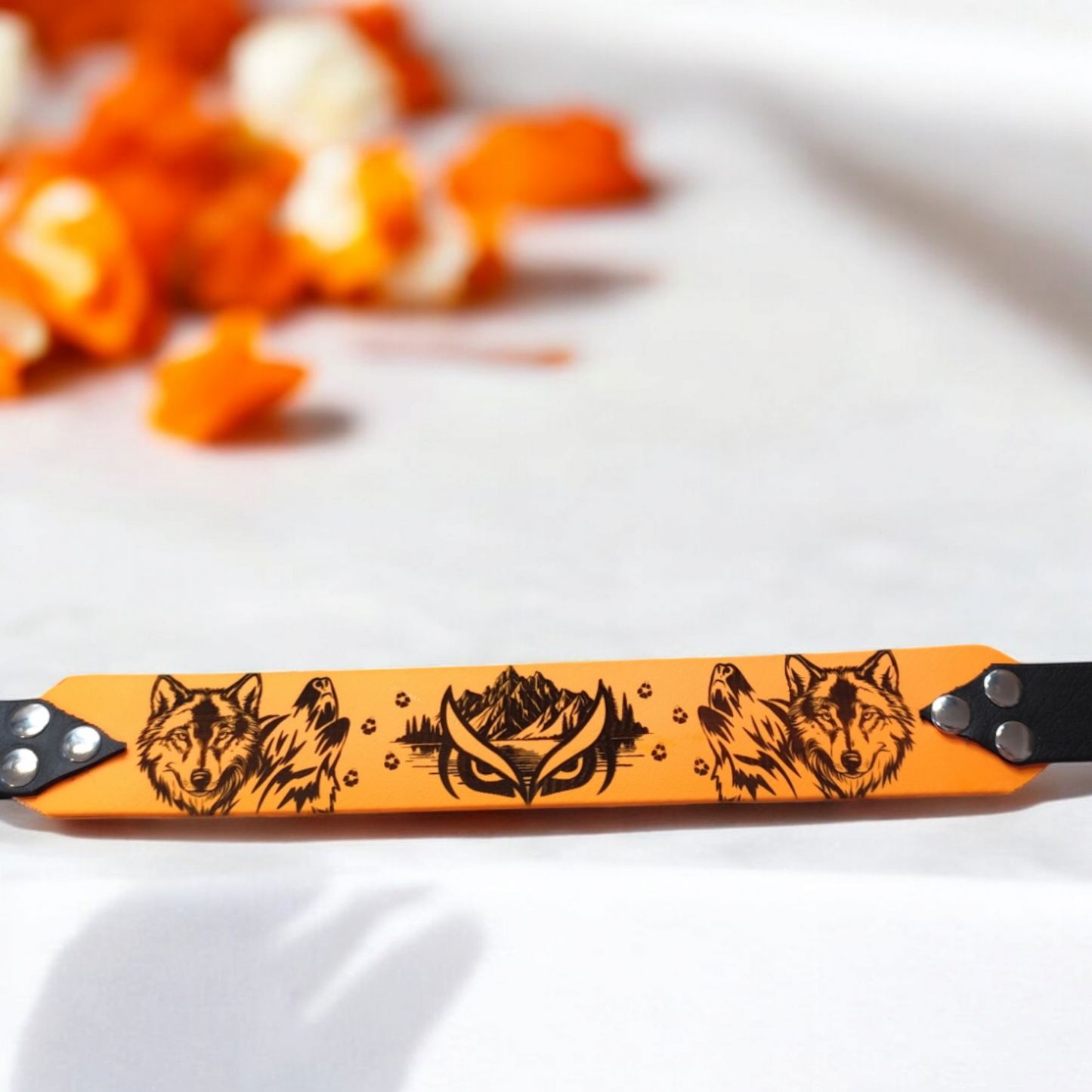 collier pour chien vu de haut 