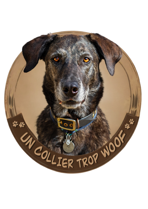 Un Collier Trop Woof 