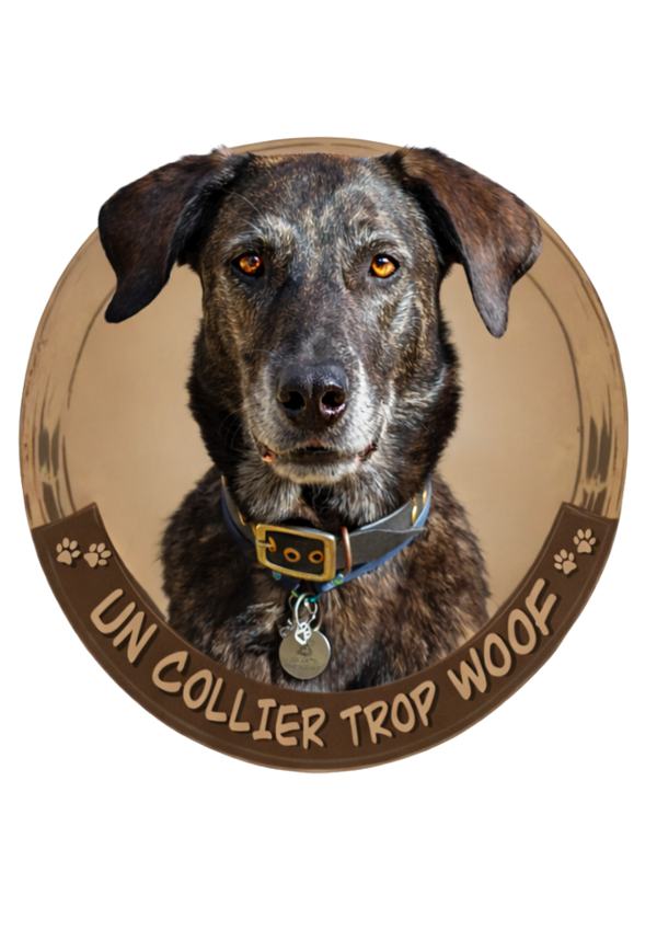 Un Collier Trop Woof 