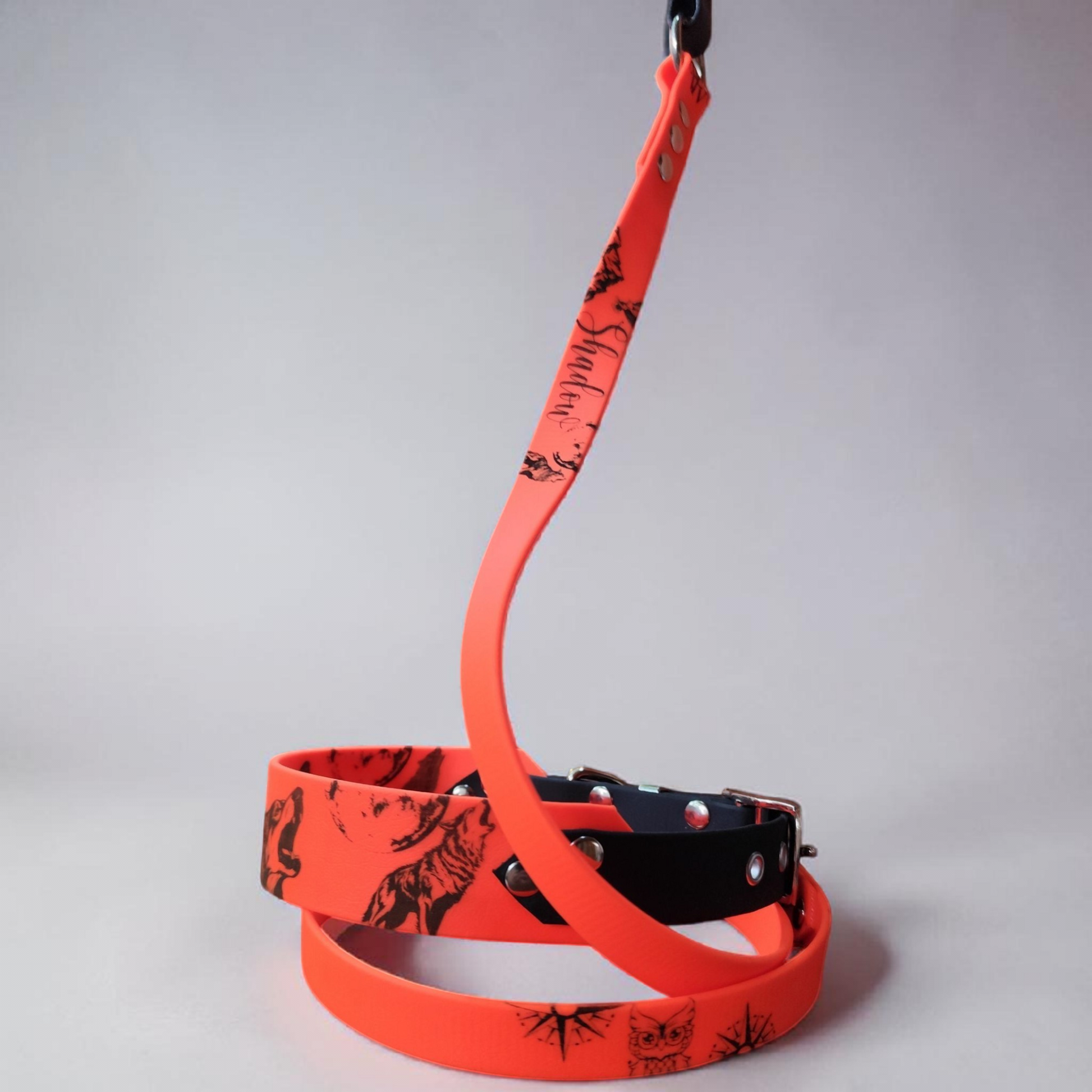 ensemble collier et laisse biothane assortie motif loup