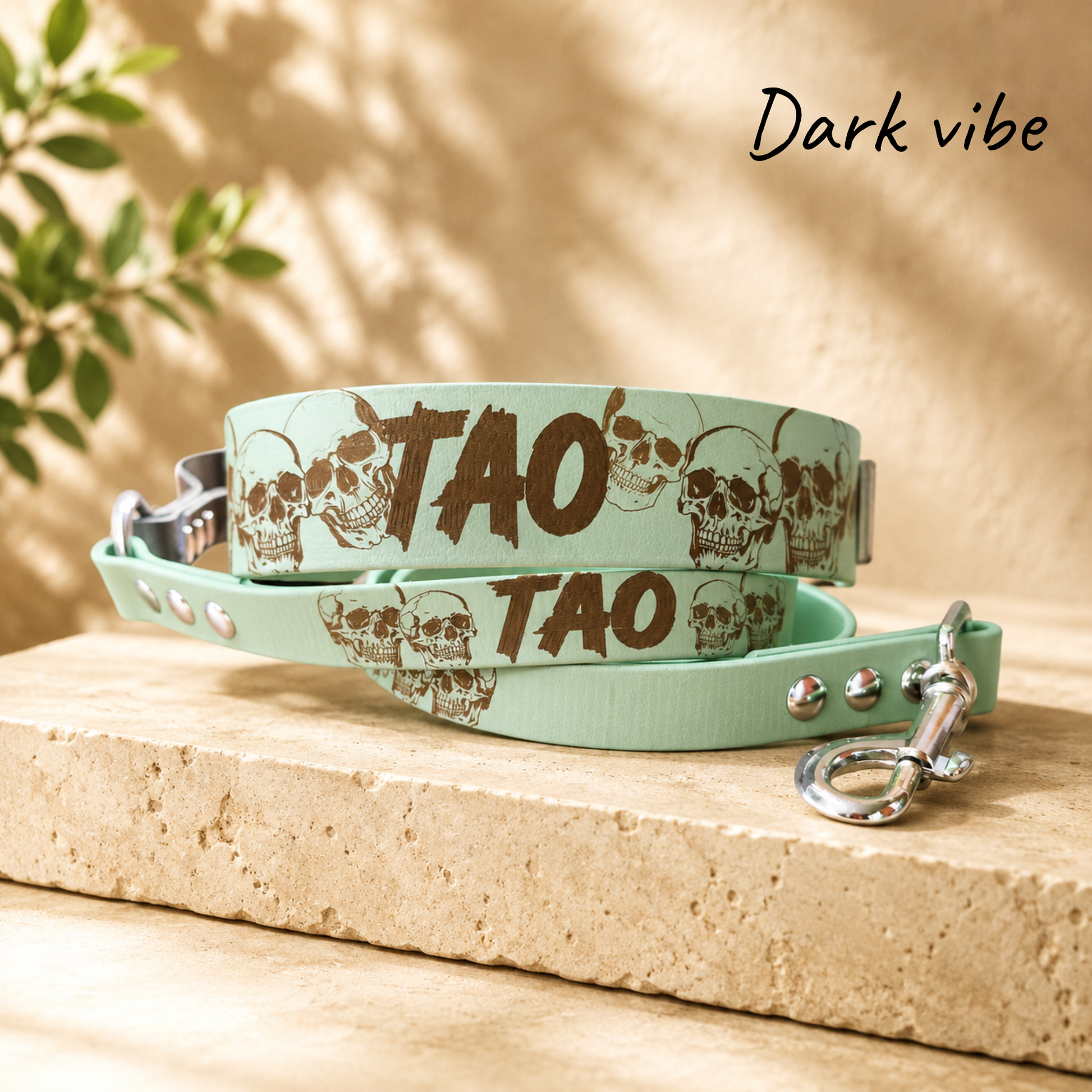 laisse et collier pour chien assorti motif tête de mort 