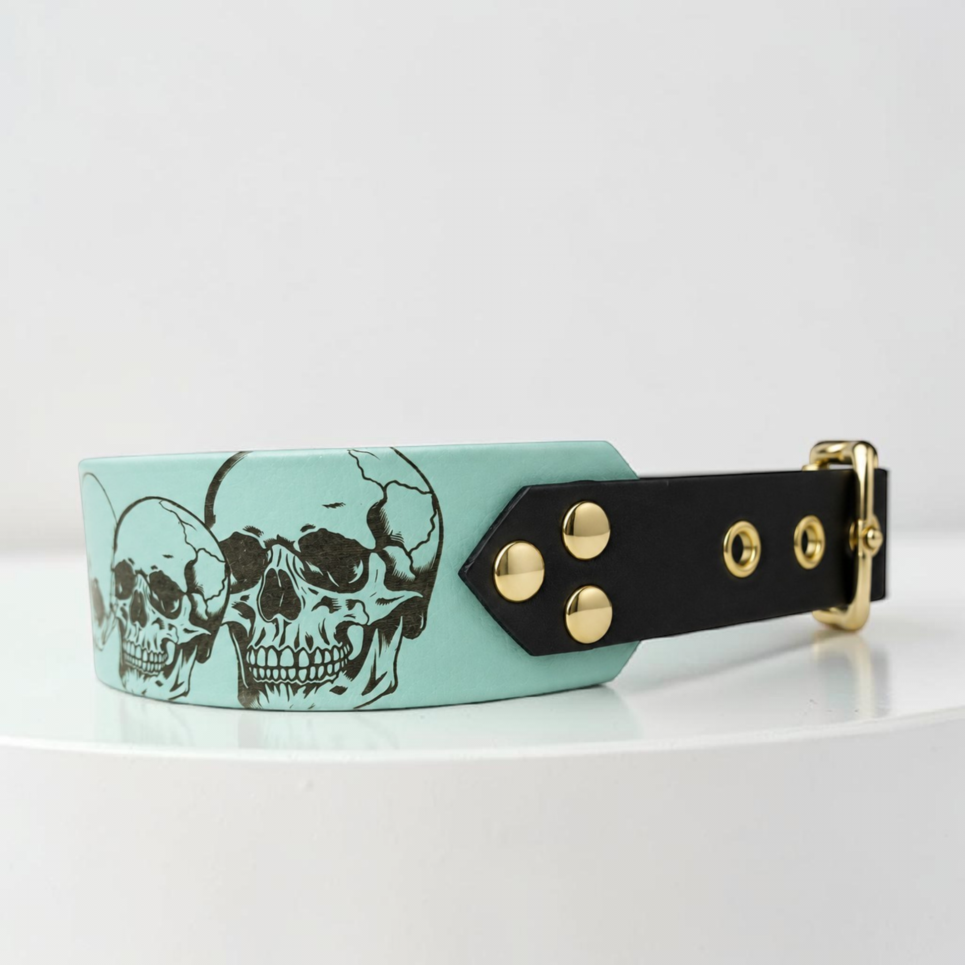 Vue latérale d’un collier pour chien en biothane 38 mm avec sangle et boucle 25 mm, design têtes de mort gravées et finitions robustes.