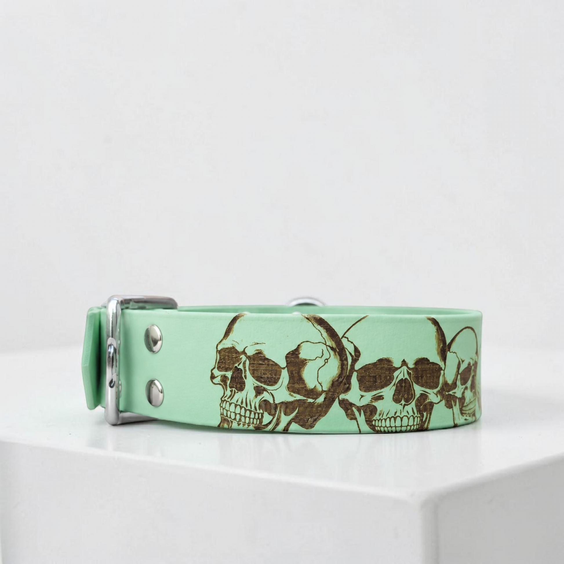 Vue de côté d’un collier en biothane vert pastel thème dark skull, collier résistant avec design gravé et bouclerie élégante.