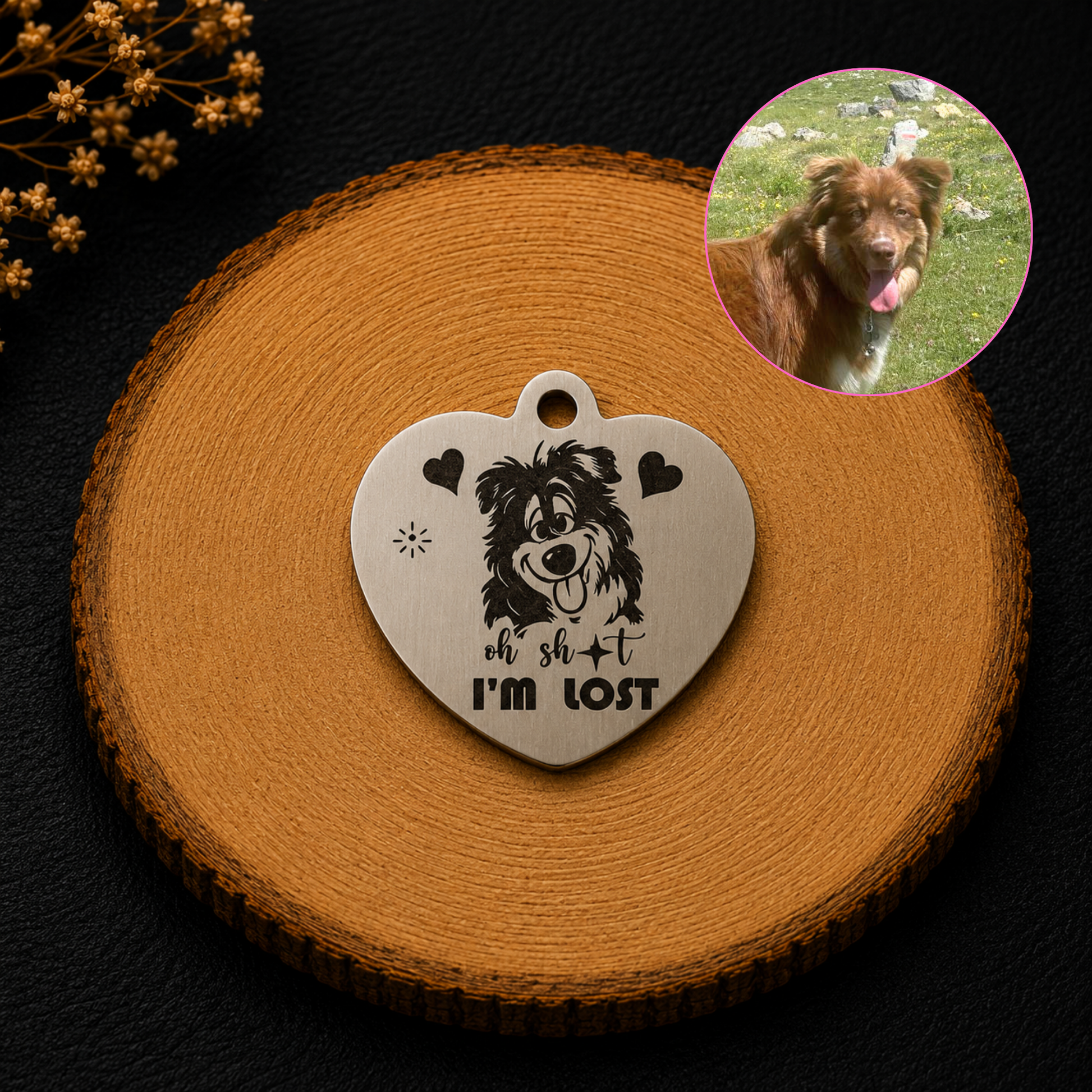 Médaille d’identification pour chien forme de coeur  personnalisée  avec la photo du chien caricaturée et  gravée avec  message Oh Sht I’m Lost