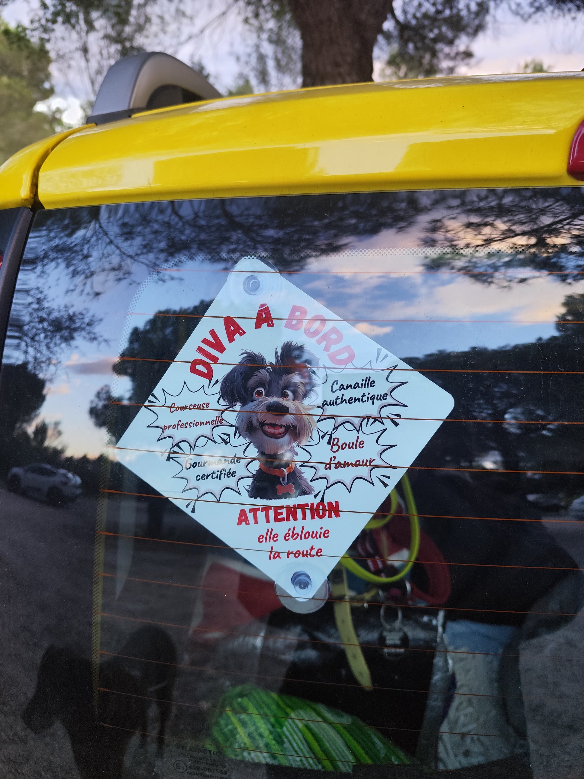 pancarte de voiture personnalisée chien drole 
