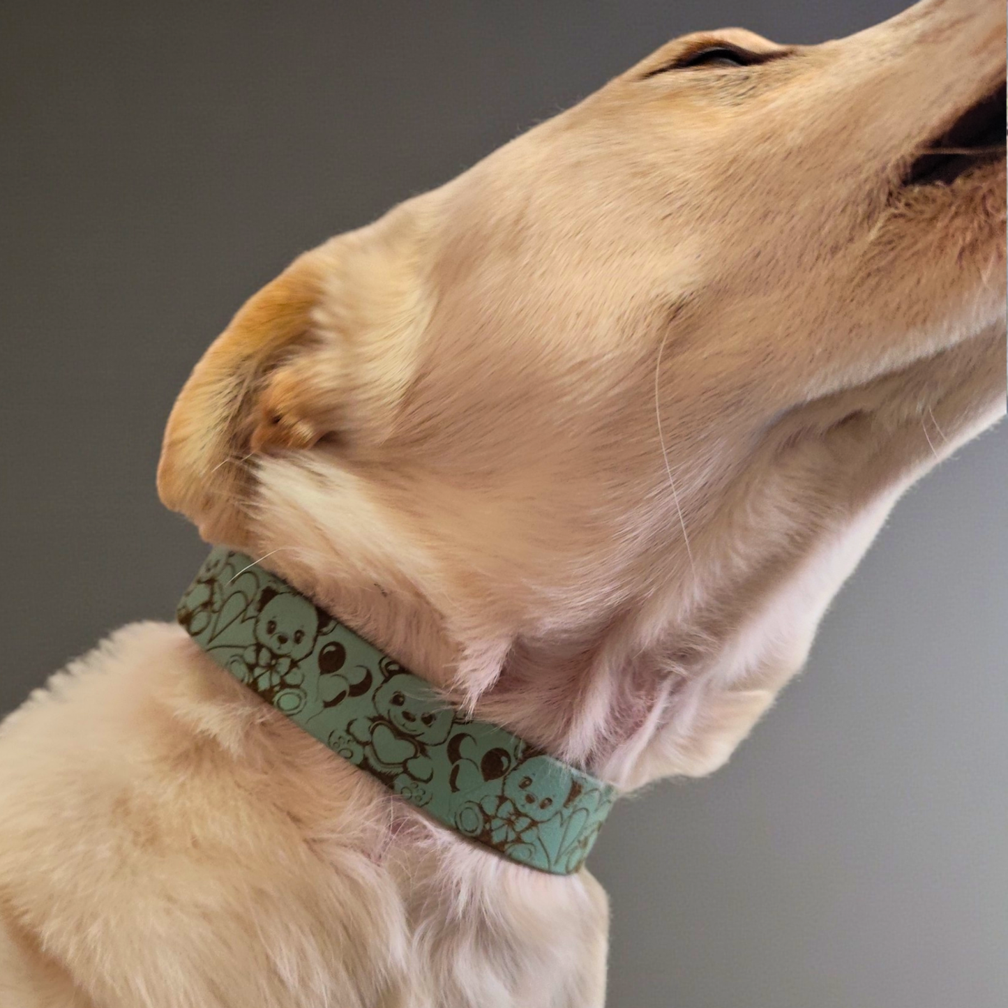 Collier pour chien personnalisé en biothane ourson – Teddy Love